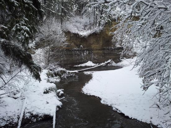 Mill Creek Ravine Park